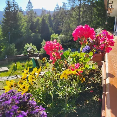 Stella 3* Železná Ruda